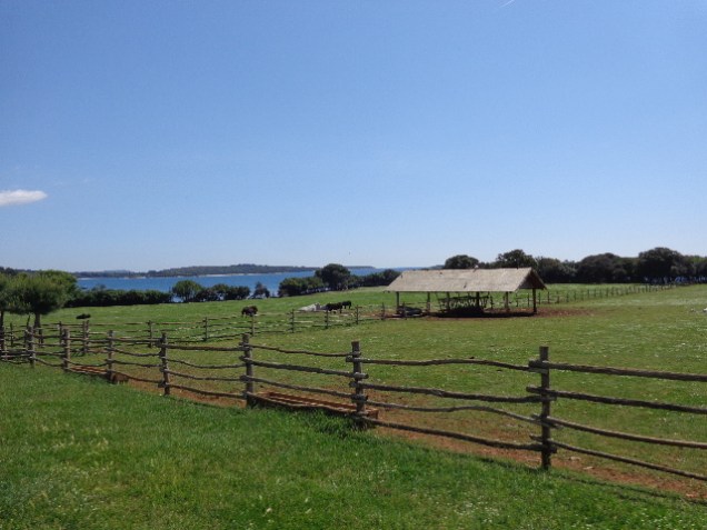 Safari, mas não consegui fotografar os animais.