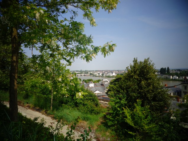 Vista do rio Loire ao fundo.