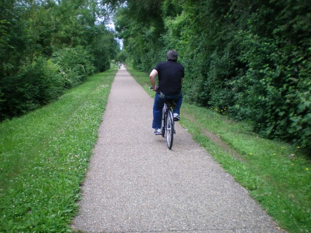 Caminho oficial na volta